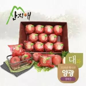 산지애 씻어나온 햇사과 양광 3kg 1box (대과)