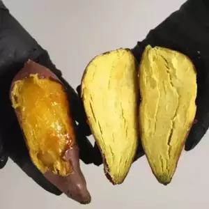 26년 퍽퍽한 진짜 밤고구마 햇 고구마 10kg