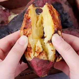 [품질보장] 세척 햇 꿀고구마 특 5kg