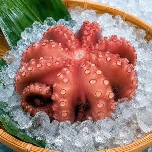 필리핀 냉동 자숙 문어 손질문어 (150g-700g)