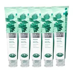 [하프클럽/셀러허브]SIAM COSMECEUTICAL 덴티스테 플러스화이트 프로 치약 200g 5개 Ss