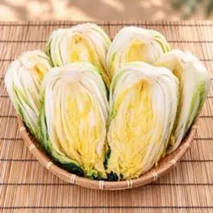 HACCP 해남 절임배추 20kg
