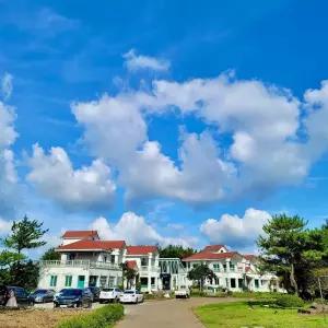 [제주] 제주 더갤러리 펜션(제주, 제주)