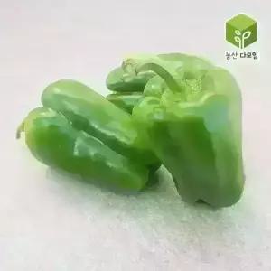 청피망(특) 5kg