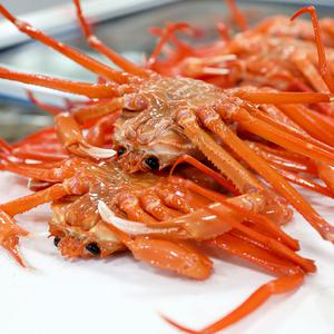 포항 구룡포 자숙 홍게 찜 제철 연지 가정용 3kg/6kg