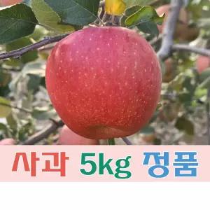 (팔공산농원) 사과(부사) 5kg 정품