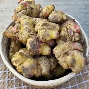 국내산 흙생강 1kg 특품