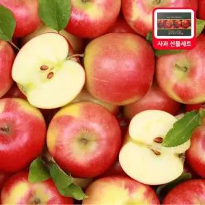 장보남 [추석선물] 청송 명품 사과 선물세트 5kg 10kg 선물용 과일)