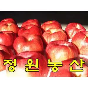 {백화점 상품} 정원농산 껍질째먹는사과10kg마른기스(34과~44과내외) 2026년 햇사과출시(가정용흠사과)골든