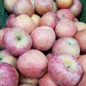 수앤서11 못난이사과 부사사과 청송사과 문경사과 부사 사과 가정용 중소과 10kg 경북사과 흠집사과 생활