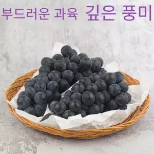 [당일출고] 국내산 고당도 캠벨포도 3kg (9-15수) 산지직송 부드러운 생포도