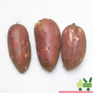 호박고구마 5Kg (상/특/긴상/긴특)