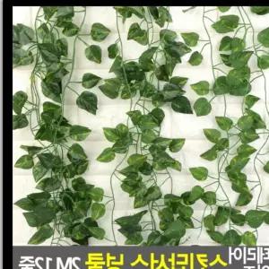 조화 인테리어 인조 스킨답서스 넝쿨 N-7D77E 2M 12줄