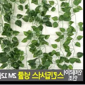 조화 인테리어 인조 스킨답서스 넝쿨 2M 12줄