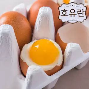 호유란, 짜지않고 촉촉한 반숙계란 반숙란