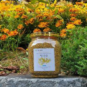 지리산 국산 먹는 벌꿀 꽃가루 화분 비폴텐 BEEPOLLEN 1kg
