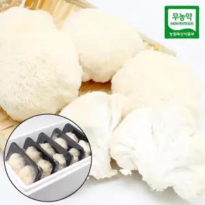 국내산 생 노루궁뎅이버섯 1kg