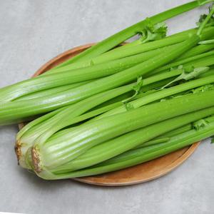 샐러리 샐러리 10kg