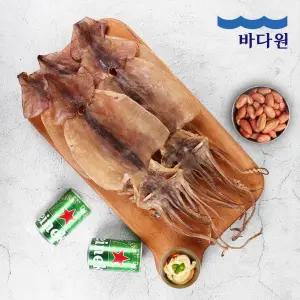 [G]바다원 동해안 마른오징어 10미 (600g) 국내산