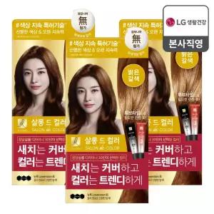엘라스틴 살롱 드 컬러 새치 염색 크림 밝은갈색 6B, 100g 3개