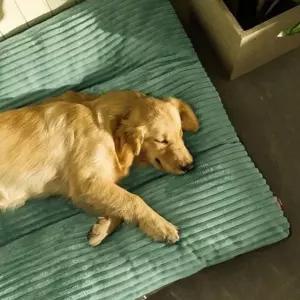 bns 강아지 고양이 소형 중형 대형견 방석 쿠션 침대 XL 강아지방석 고양이쿠션 대형견방석 대형견쿠션
