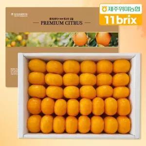 [문주왕][제주위미농협] 당도선별 11brix 신선한 하우스감귤 1.5kg