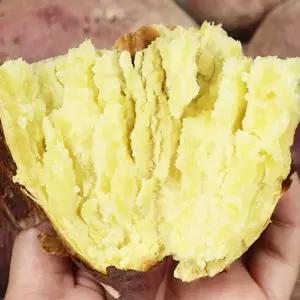 국내산 퍽퍽한 세척 밤고구마 2kg 5kg 10kg (한입 특상 왕왕) 햇고구마 진율미