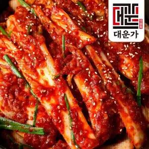 신선집중 본가명인 국내산 배추 겉절이 김치 2kg 전재료 100% 국산 강원도 고랭지배추 당일생산 생김치 537