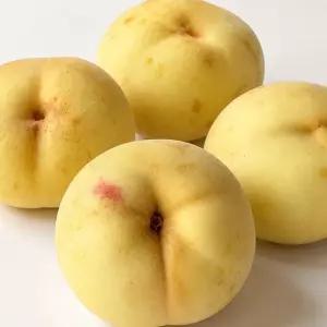 17브릭스 이상 고당도 설아 복숭아 500g