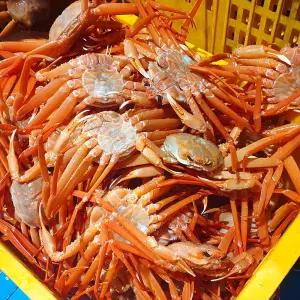 울진 후포항 당일어획, 박달 홍게 4kg (8~10미 내외)