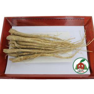 청정 영주소백산도라지 흙_나물도라지2kg_중품