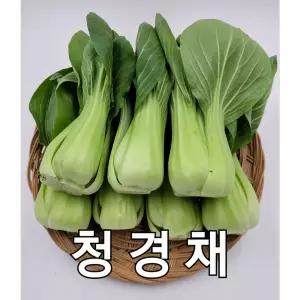 청경채 1kg 야채맘