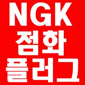 NGK스파크점화플러그,백금플러그,이리듐플러그