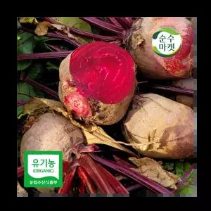 [순수마켓] 해남 유기농 햇 레드비트 10kg