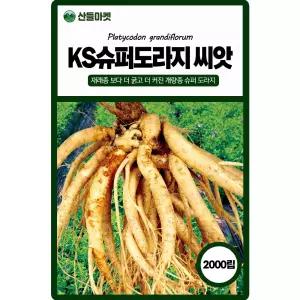 산들마켓 슈퍼도라지 씨앗 2000립 재래종 보다 굵고 더 커진 개량종 보라 꽃 슈퍼도라지 국내산 품종 종자