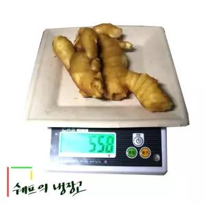 500g 세척생강 중국산생강 수입생강식당 대강 업소용 급식 도매