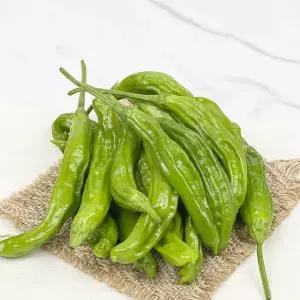 특품 햇 꽈리고추 장아찌용 안매운고추 꽈리볶음 100g (1봉)