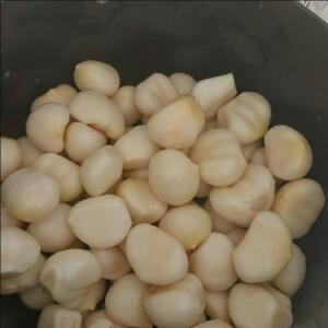 김포 코끼리마늘 홍산마늘 햇마늘 국산 저장 마늘 종자 식용 씨마늘 가능 한접/가정용 혼합사이즈 1kg,2개