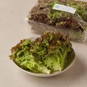 포기상추 200g
