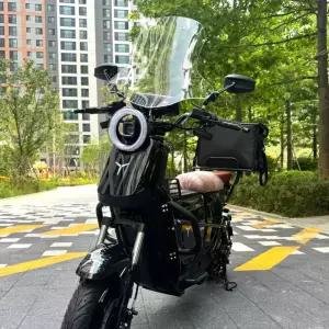 타이탄 전동 전기스쿠터 PTX1000 1500W 고출력 48V 25Ah 50Ah 분리형배터리