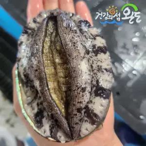 완도 활전복 1kg(6-7미내외) 참전복 특대왕전복