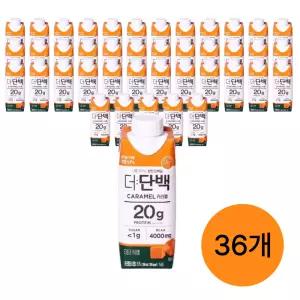 더단백 드링크 카라멜 250ml, 36개