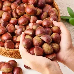 산지 부여 햇밤 국내산 알밤 1kg 2kg 중 대 특