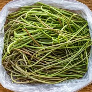 싱싱한 제철 나물 국내산 잎제거 생 고구마순 3kg