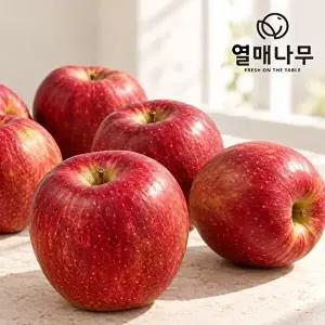 [열매나무]열매나무 2026 햇 감홍사과 3KG(8-10과) (특대과/ 과당 300G이상)