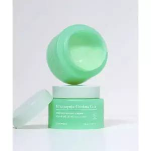 TONYMOLY 대용량 어성초시카 쿨링 수분 크림 100ml 1037800