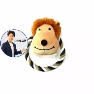 지금 필요한 사파리 3개 치실장난감 사자 강아장난감 펫장난감
