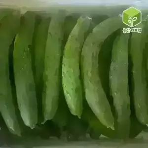 오이 취청오이 상 10kg