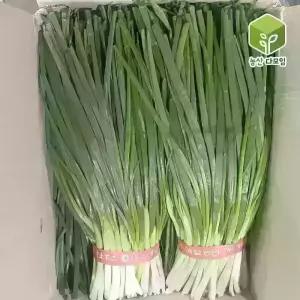 국내산 흙쪽파 깐쪽파 2kg 1box