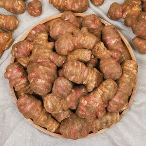 생돼지감자 자색 돼지감자 3kg 5kg 10kg 생과